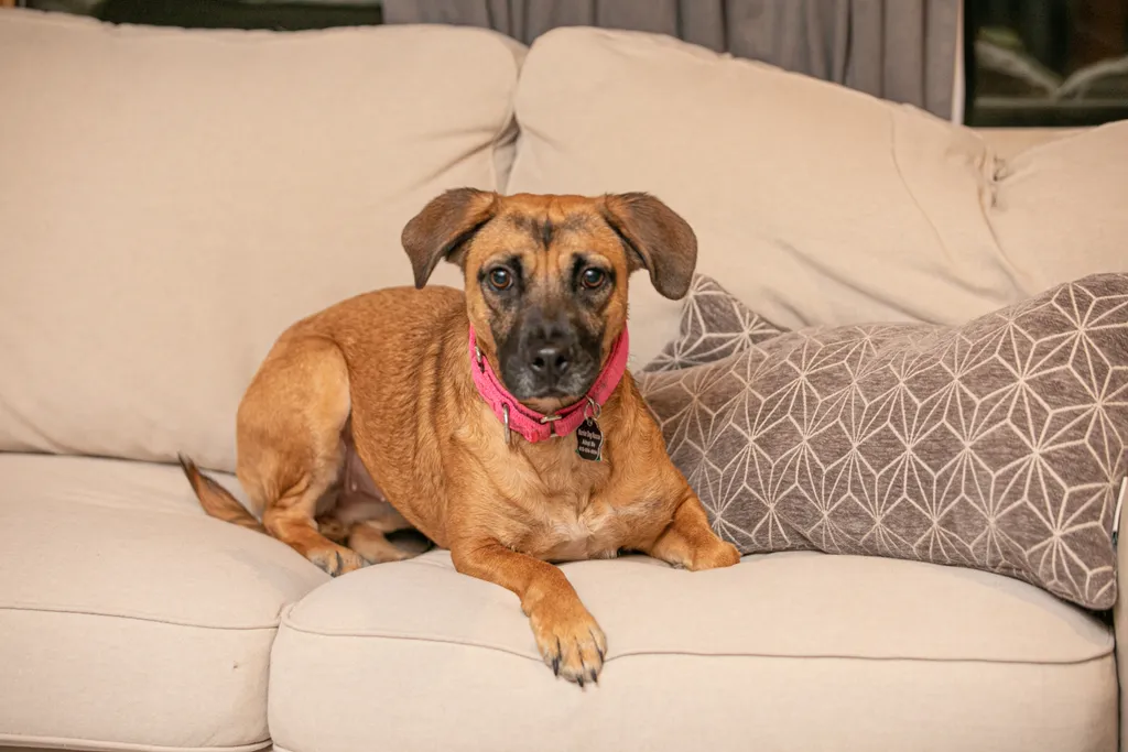 Rescue Photography in 2020, photo 6 of 89