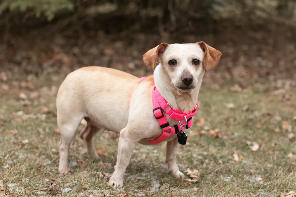 Rescue Photography in 2020, photo 87 of 89