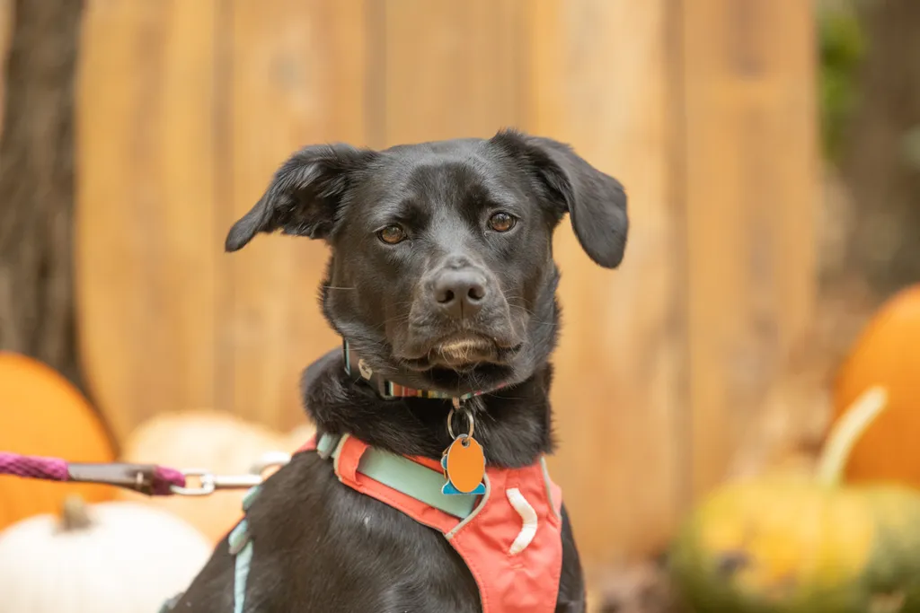 Rescue Photography 2022, photo 102 of 118