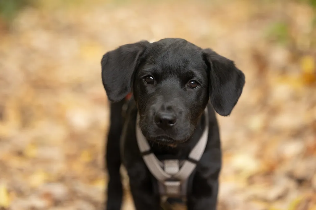 Rescue Photography 2022, photo 110 of 118