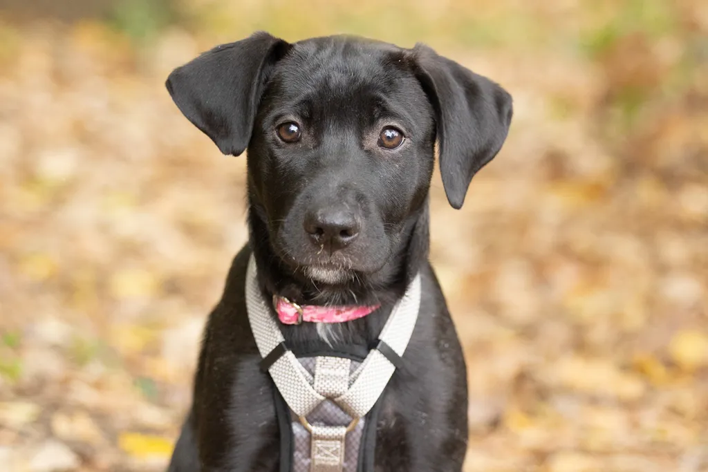 Rescue Photography 2022, photo 114 of 118