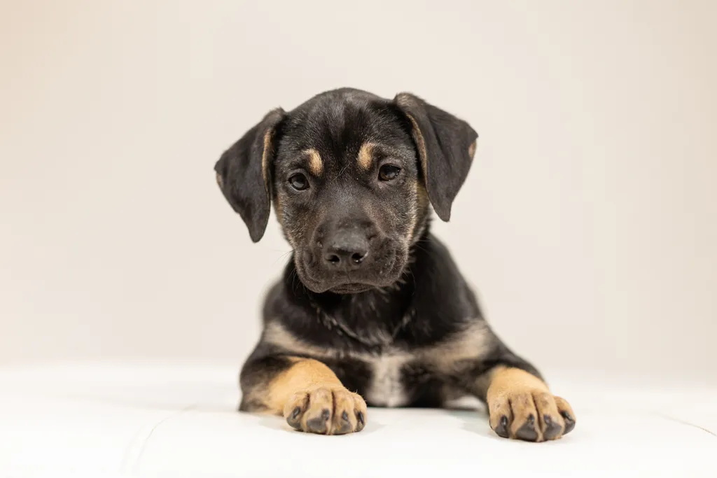 Rescue Photography 2022, photo 12 of 118