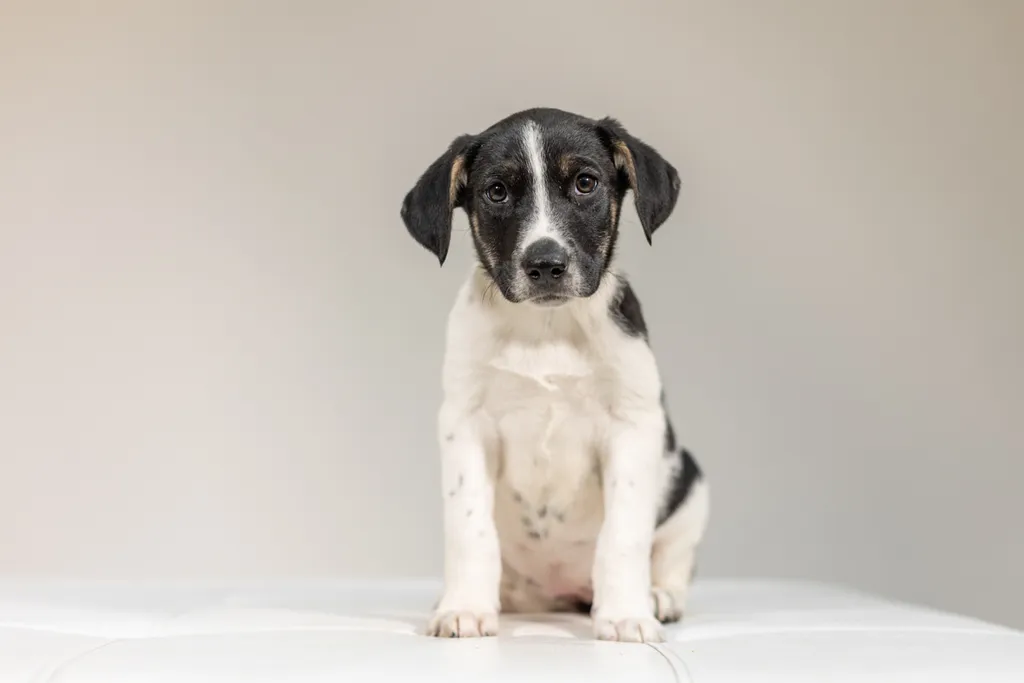 Rescue Photography 2022, photo 15 of 118