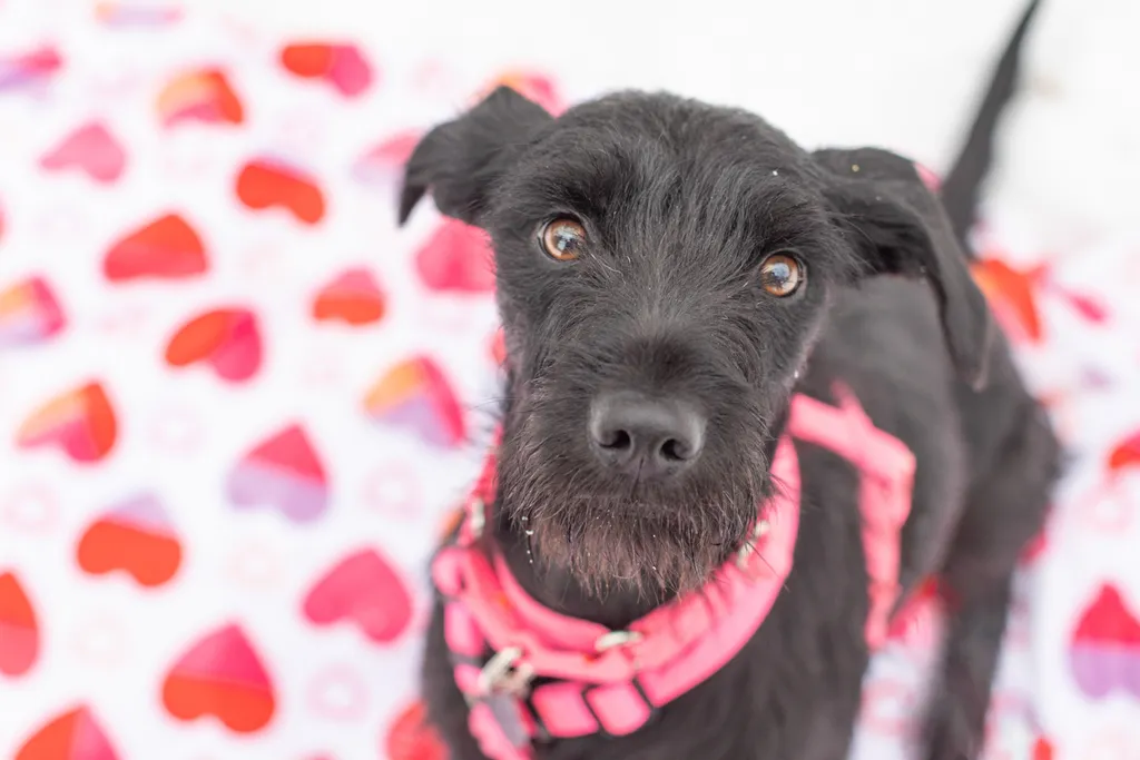 Rescue Photography 2022, photo 25 of 118