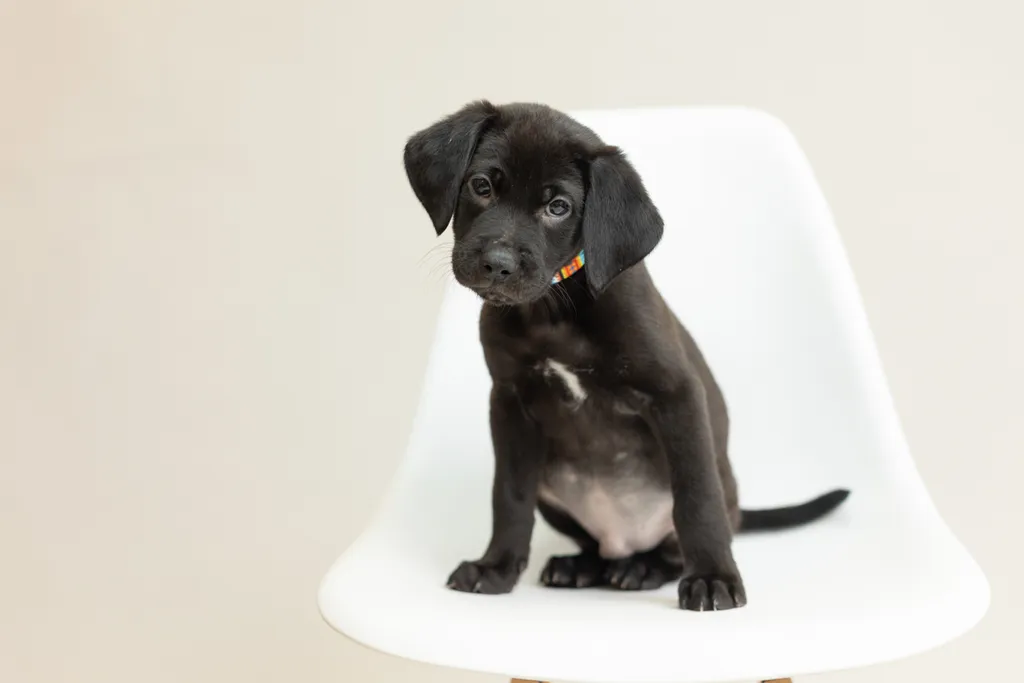 Rescue Photography 2022, photo 49 of 118