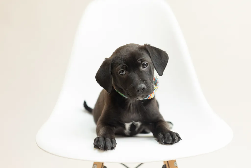 Rescue Photography 2022, photo 50 of 118