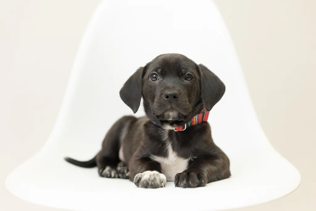 Rescue Photography 2022, photo 51 of 118