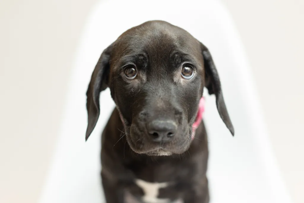 Rescue Photography 2022, photo 53 of 118
