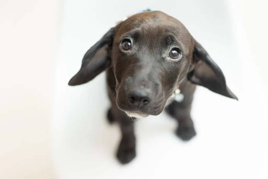 Rescue Photography 2022, photo 54 of 118