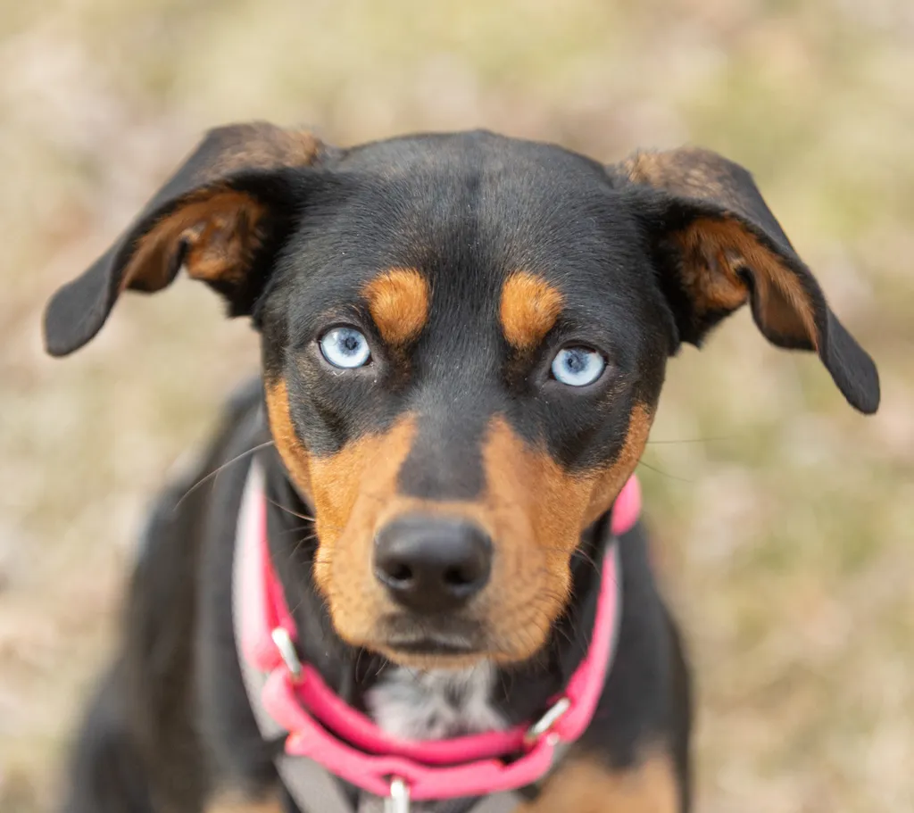 Rescue Photography 2022, photo 60 of 118