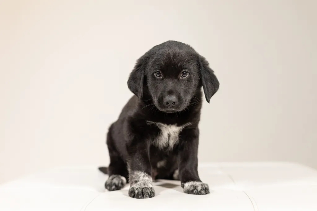 Rescue Photography 2022, photo 6 of 118