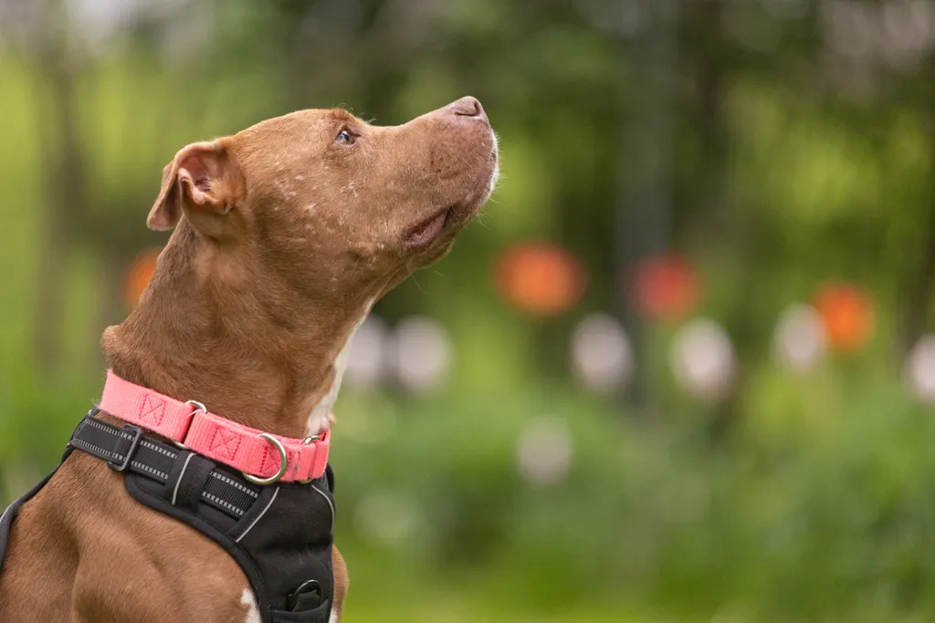 Rescue Photography 2022, photo 87 of 118
