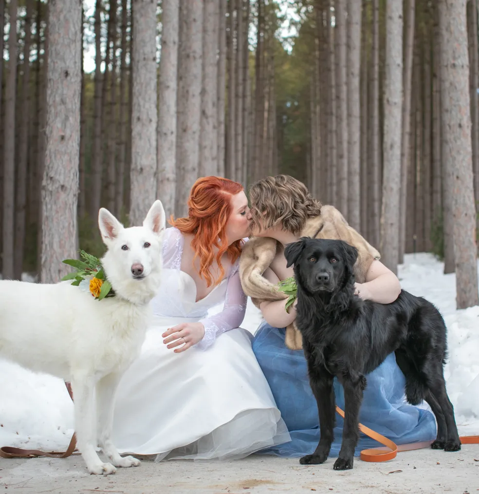 Cover photo for Weddings and Dogs: best ways to involve them