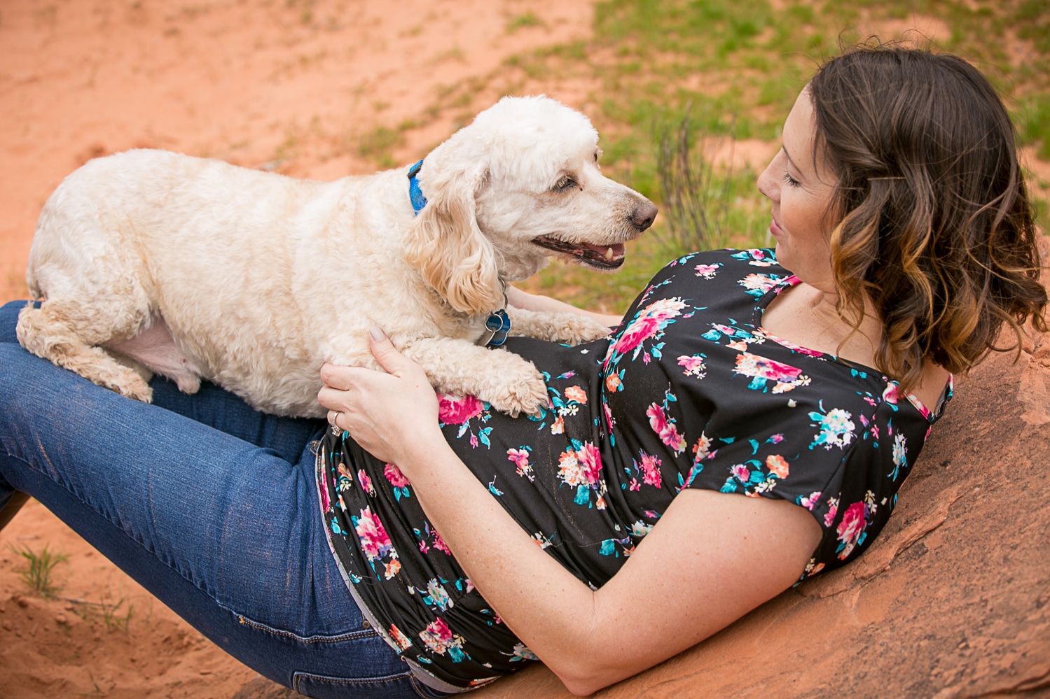 maternity dog photography, dog on his moms belly