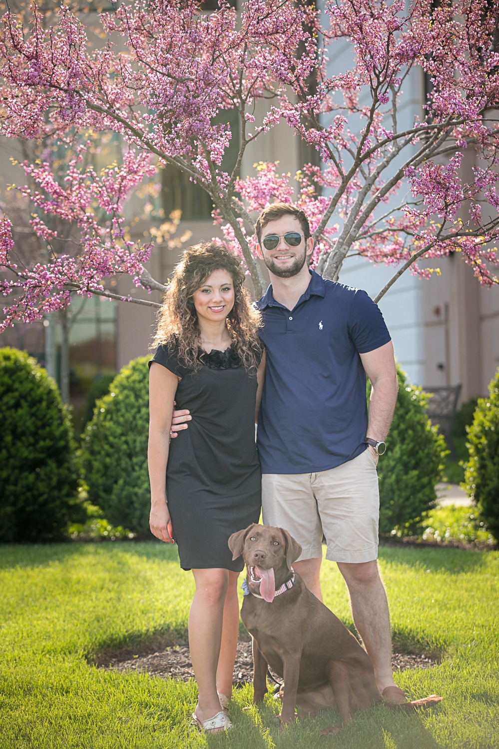 Flower tree and chocolate lab