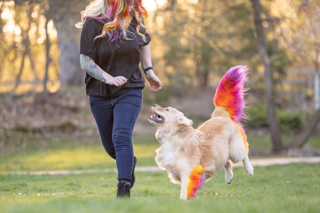 Exercise is important prior to a dog photography session